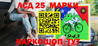 индика Можга