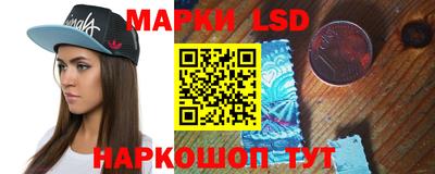 индика Можга