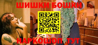 индика Можга