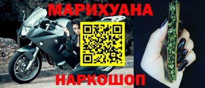индика Можга