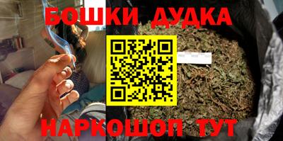 индика Можга