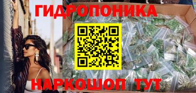 индика Можга