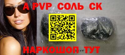 индика Можга