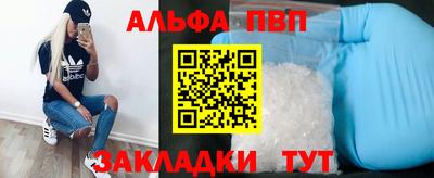 индика Можга