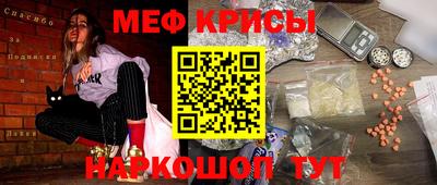 индика Можга