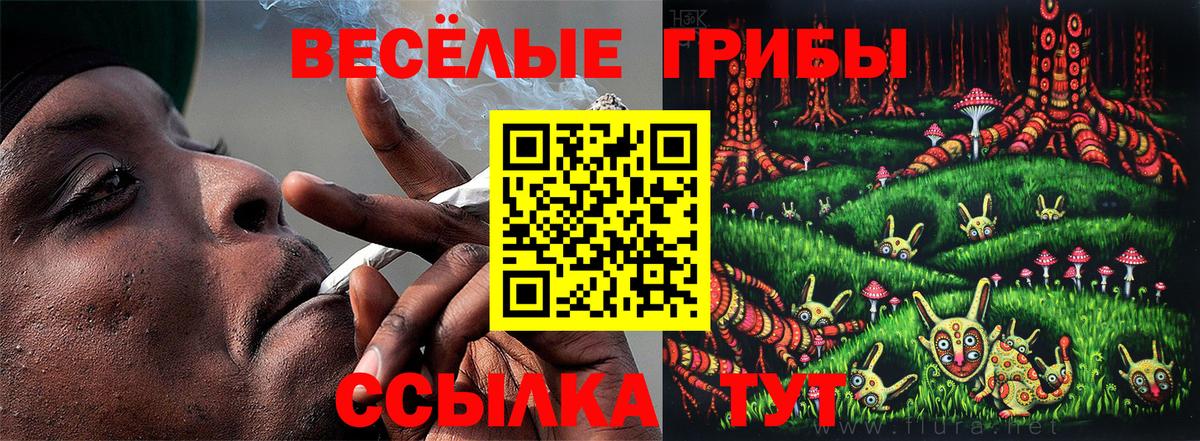 Йошкар-Ола  Галлюциногенные грибы мухоморы  Вход с VPN 
